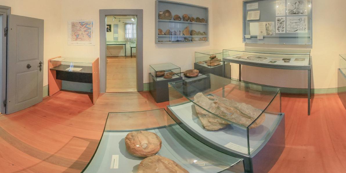 NEUMG4228Panorama